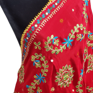 Red Velvet Mirrorwork Phulkari Saree with Multicolor Floral